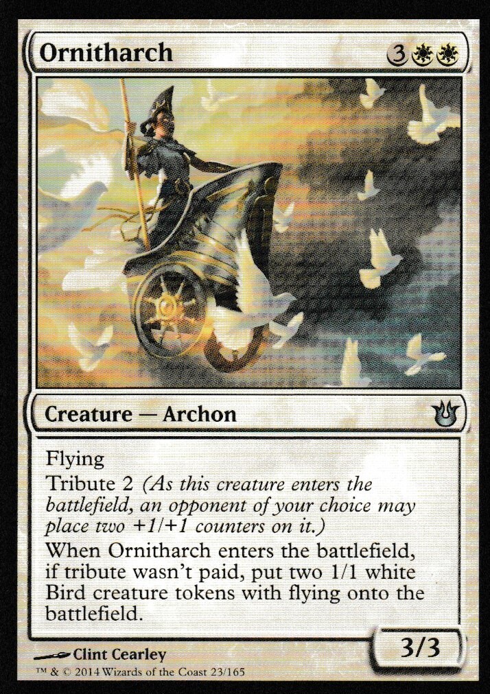 Ornitharch