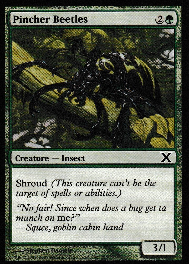 Pincher Beetle
