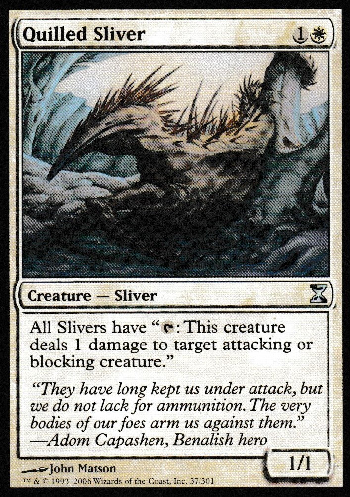 Quilled Sliver