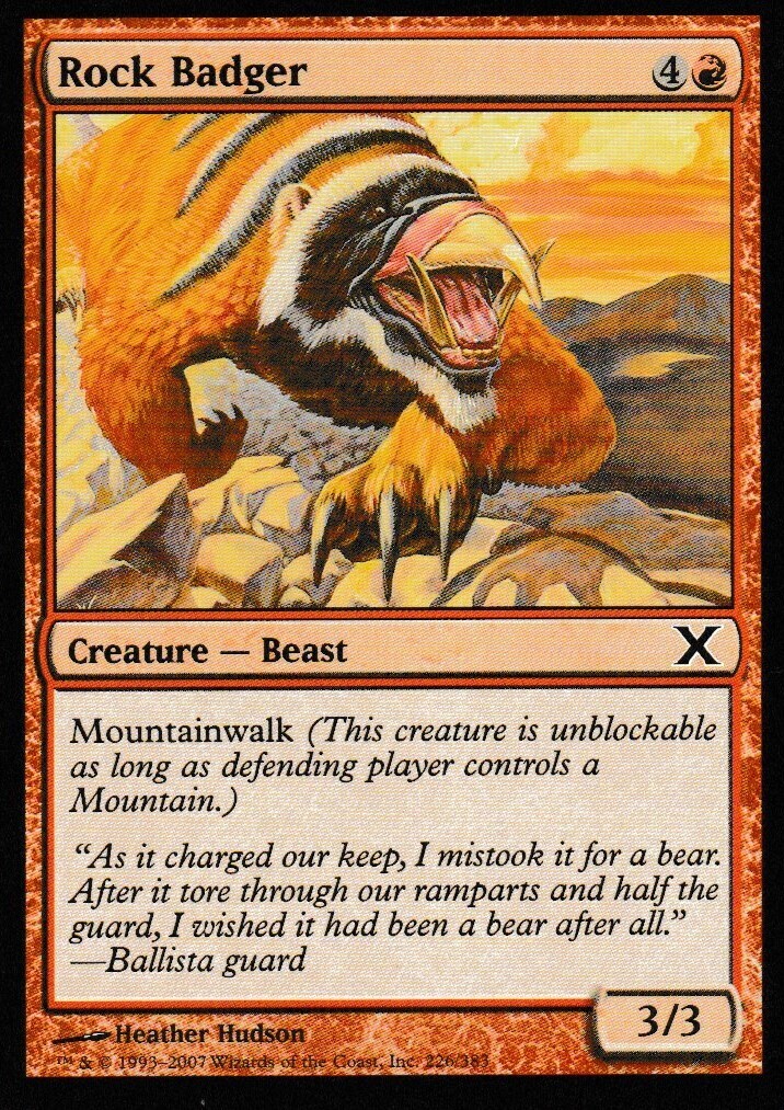 Rock Badger