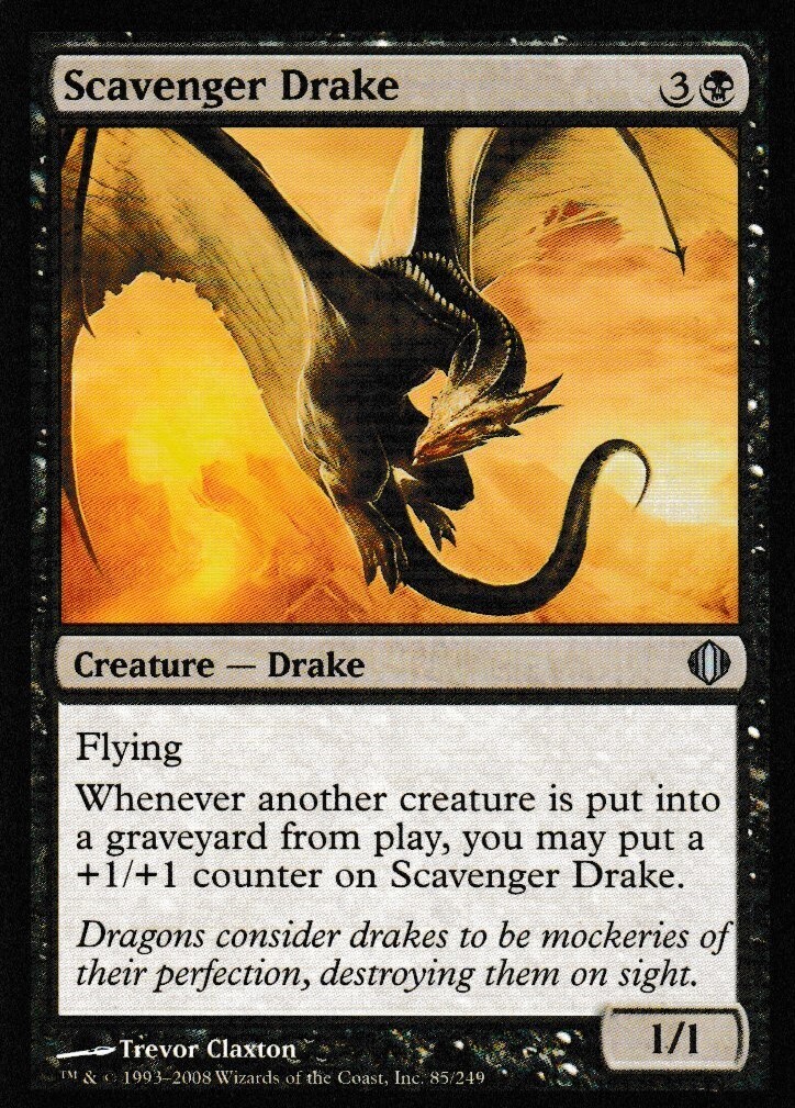 Scavenger Drake