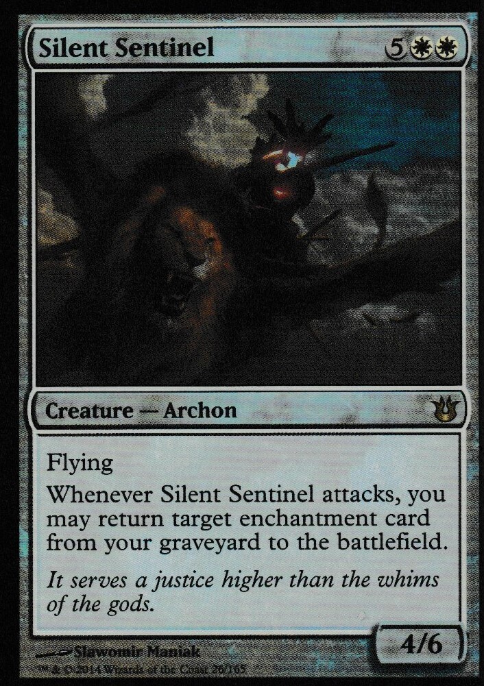 Silent Sentinel