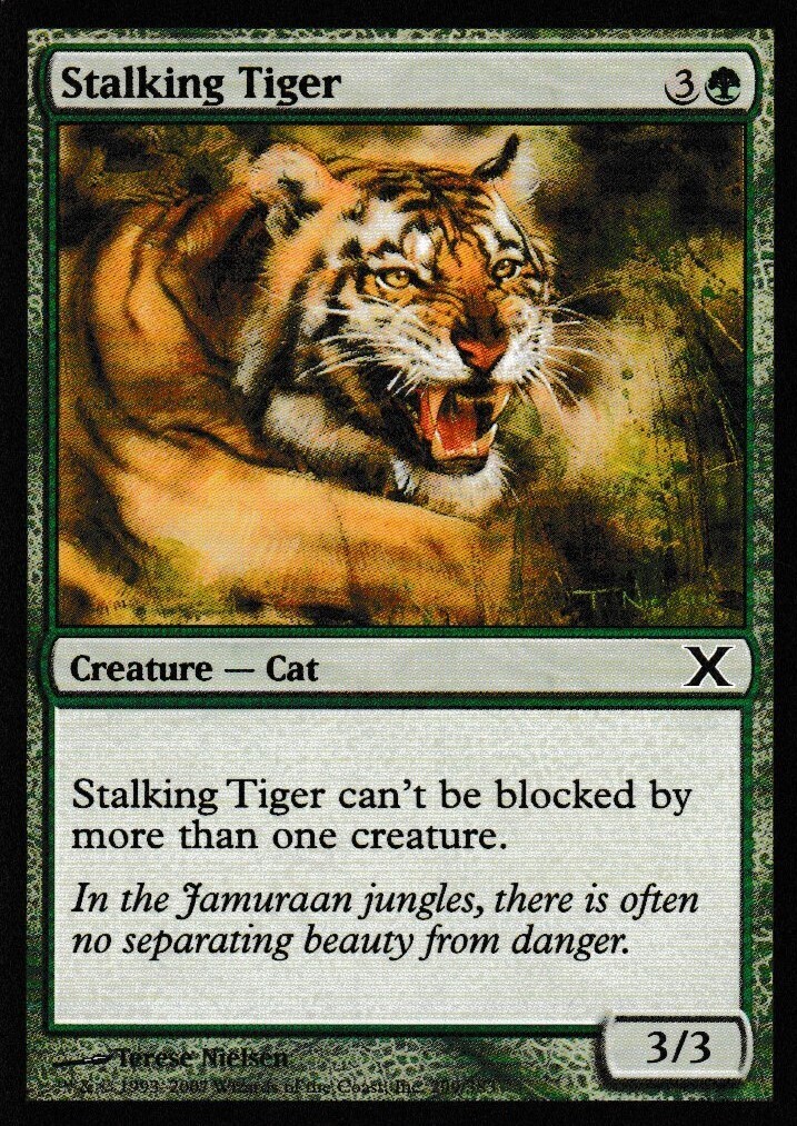 Stalking Tiger