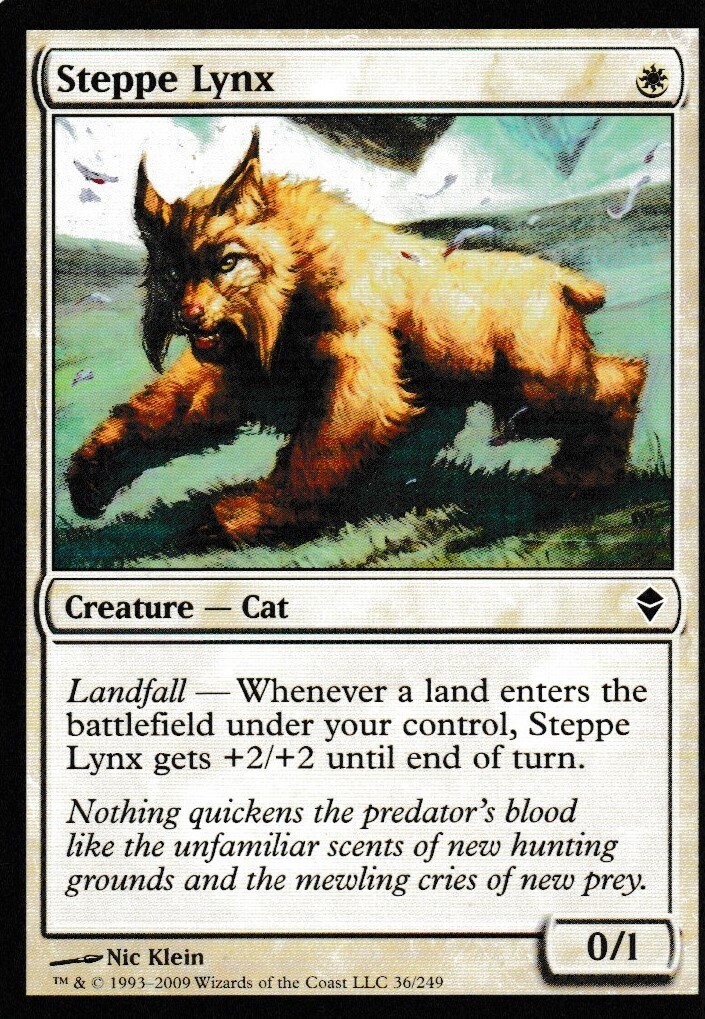 Steppe Lynx