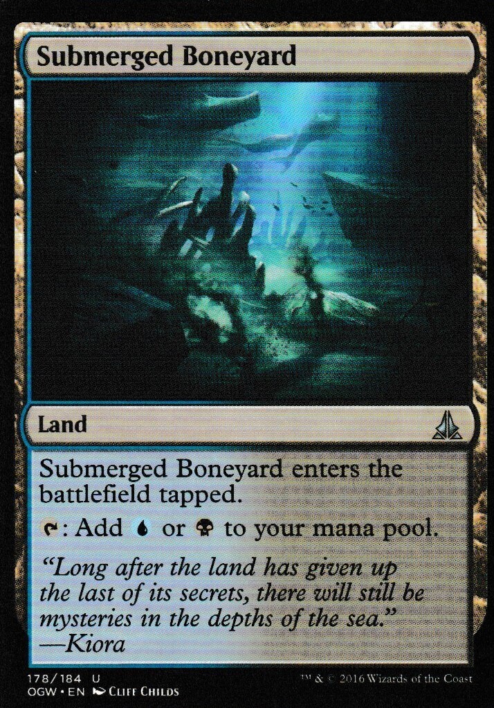 Submerged Boneyard