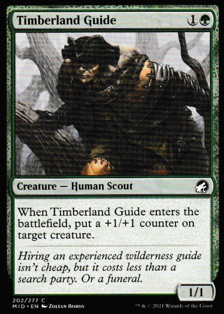 Timberland Guide