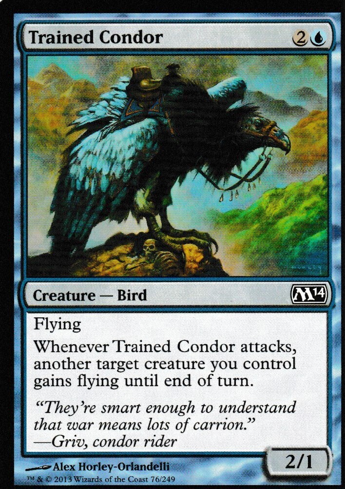 Trained Condor