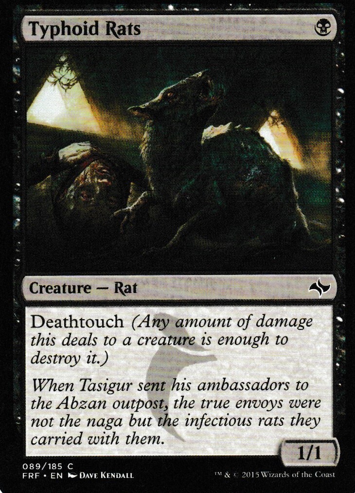 Typhoid Rats