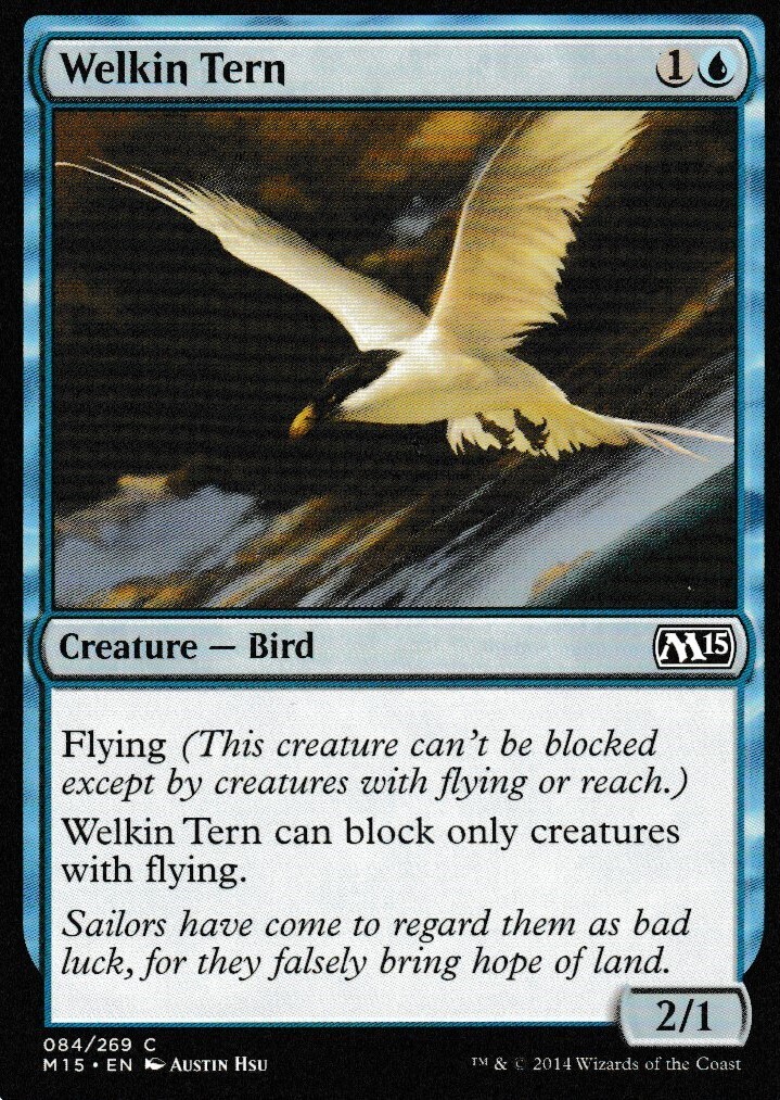 Welkin Tern