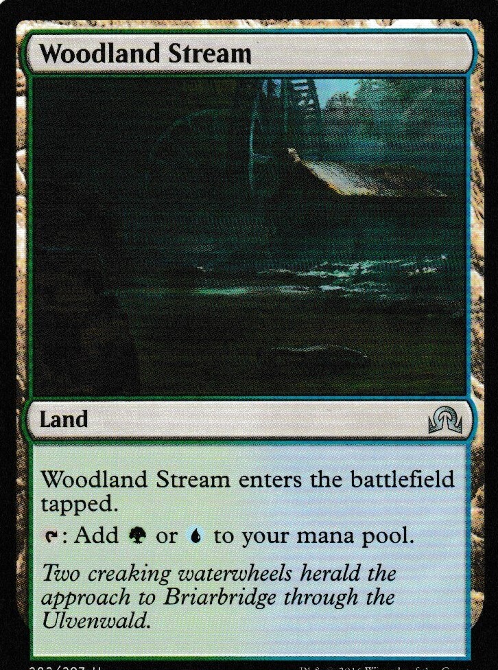 Woodland Stream