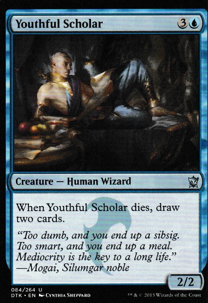 Youthful Scholar