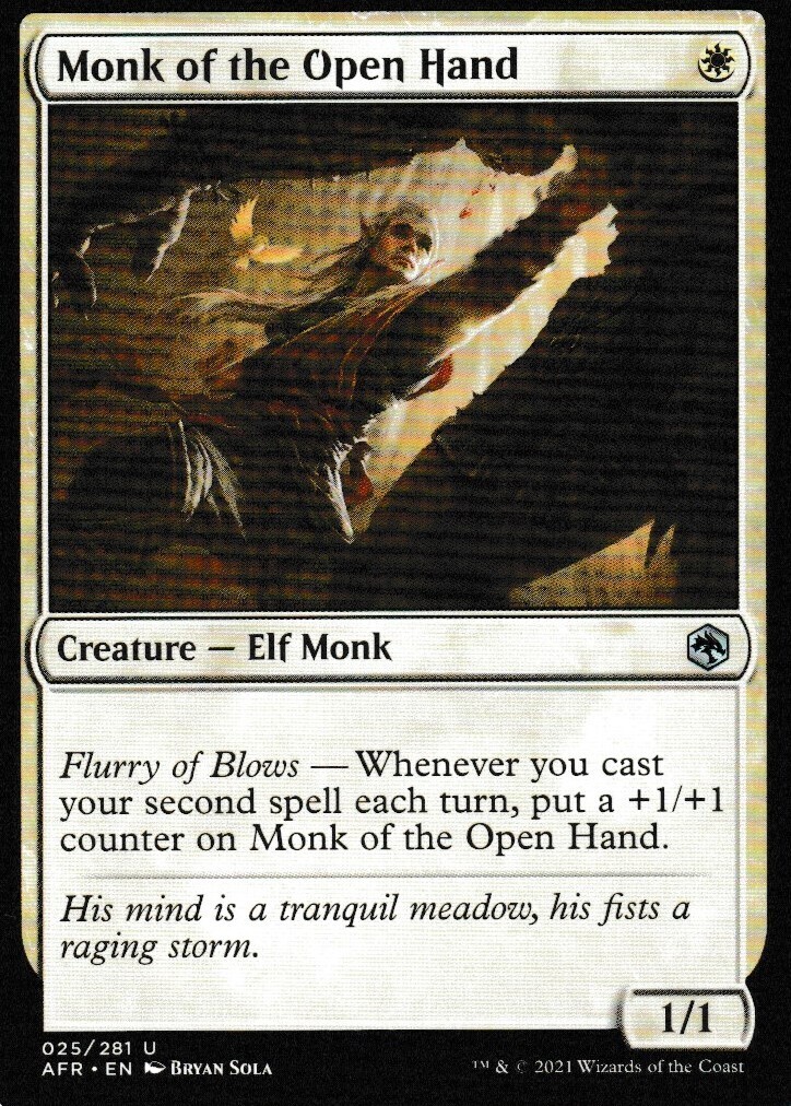 Monk of the Open Hand