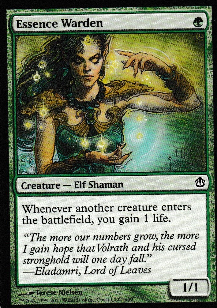 Essence Warden