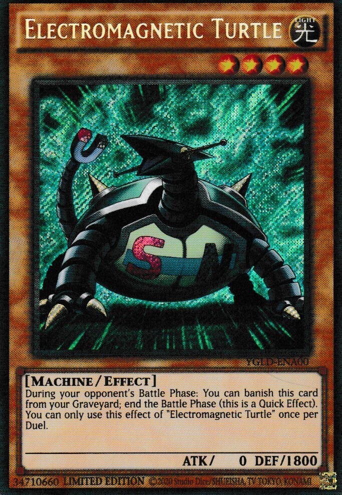 Electromagnetic Turtle