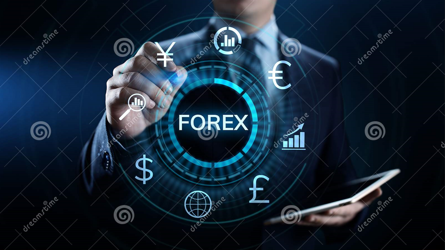 قروب توصيات العملات فوركس فقط