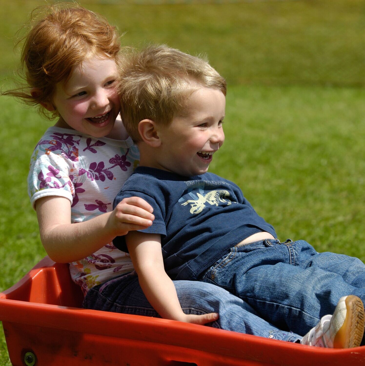 tiroll Grass Sledge model A