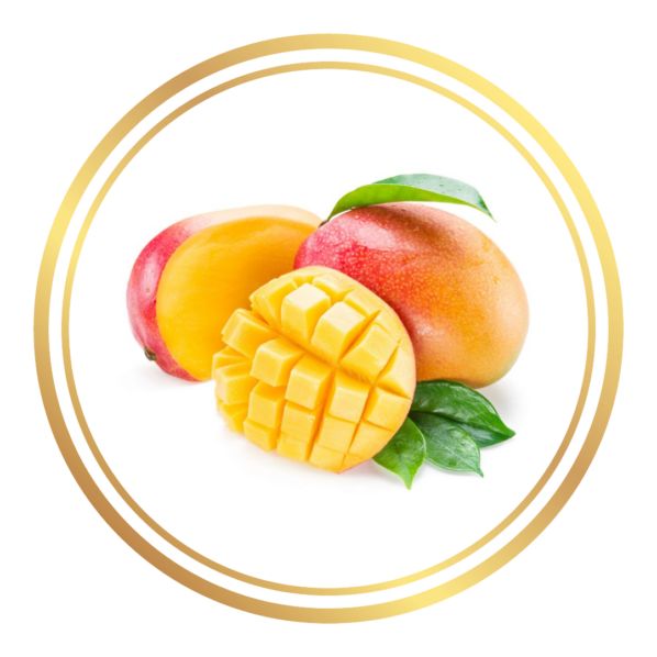 MANGO MAGIC ALIBARBAR 9000