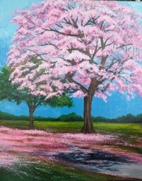 Pink Poui