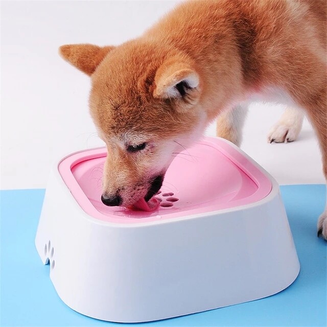 Antisplashing pet bowl