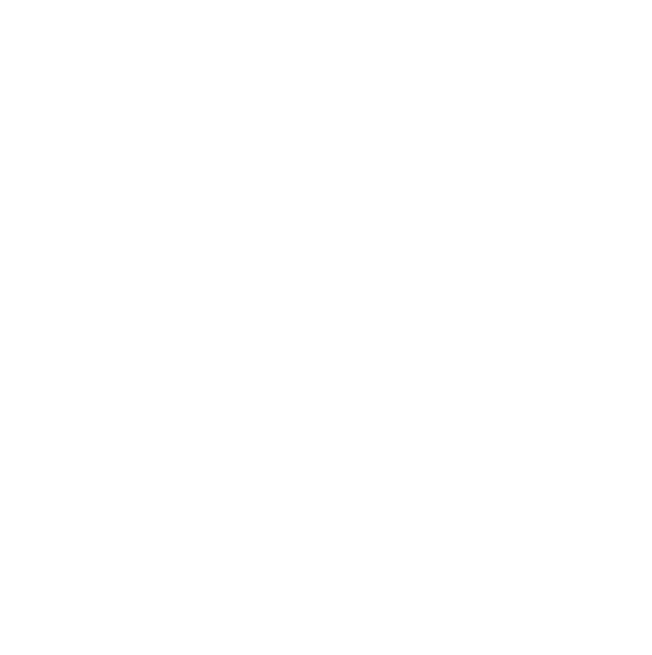 Online Store