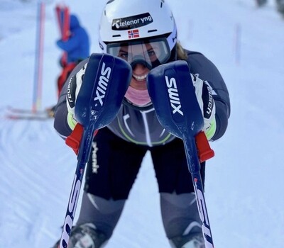 ALPINE SKI POLES