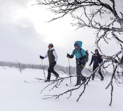 BACKCOUNTRY NORDIC  SKIS