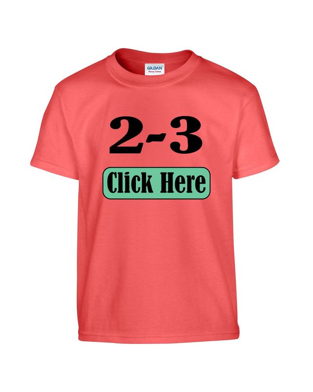 2-3 Custom Apparel, For Adults & Youth, Any color shirt,