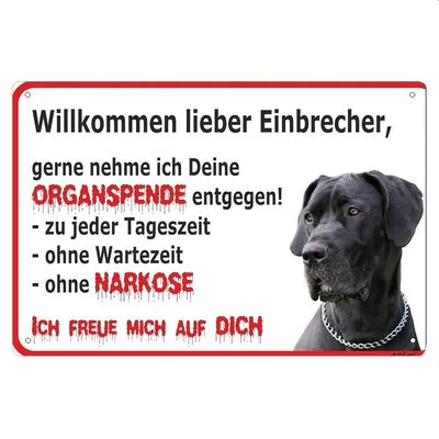 Dogge Einbrecher Sprücheschild  VB489584