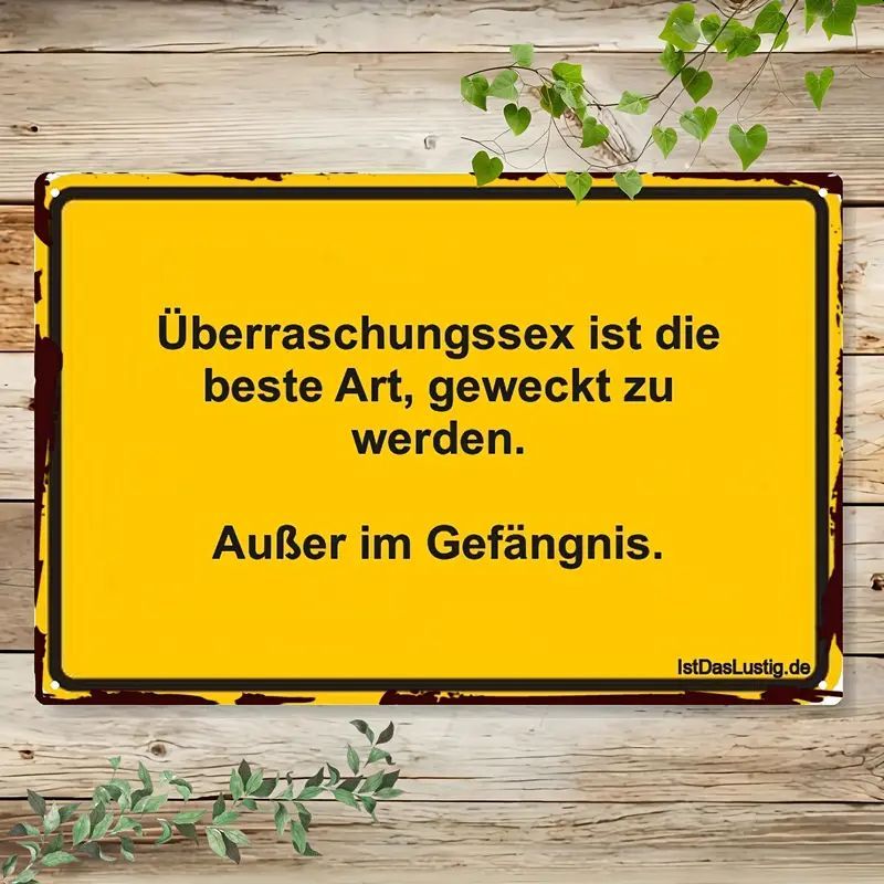 Sprücheschild Überraschungssex 2034030WC
