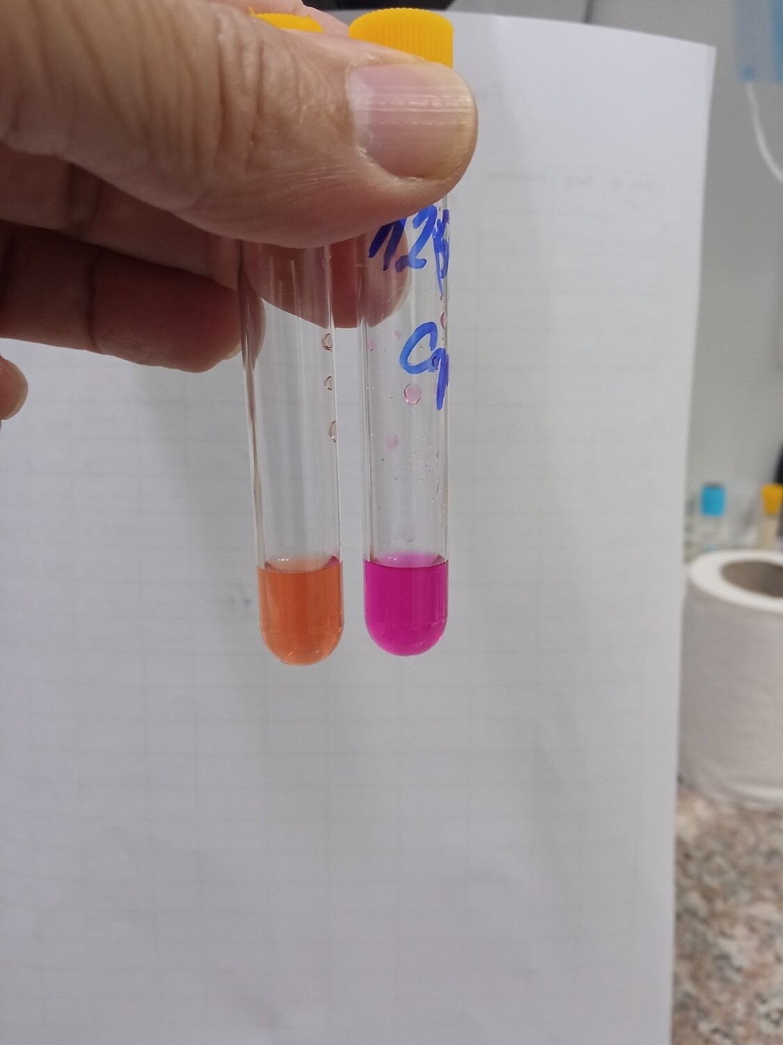 Milieu urée indol 5ml