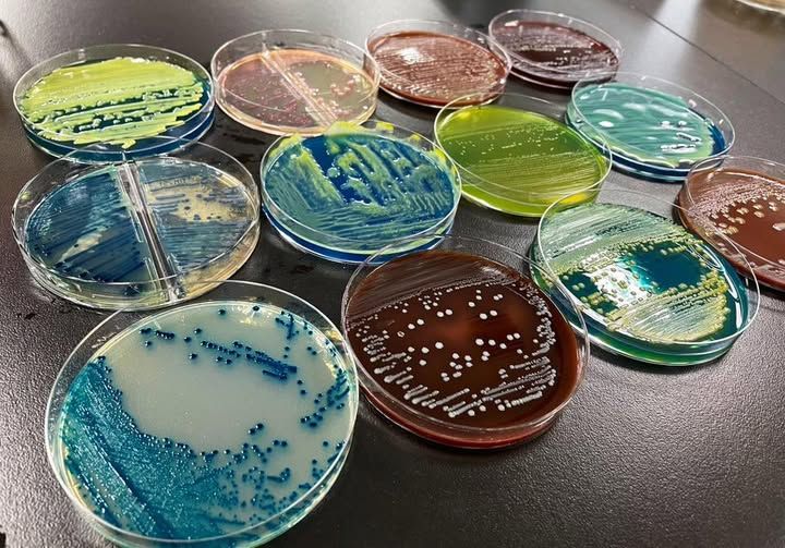 PACK MICROBIOLOGIE