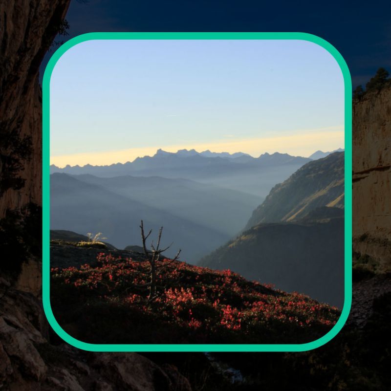 Kletterpaarcoaching