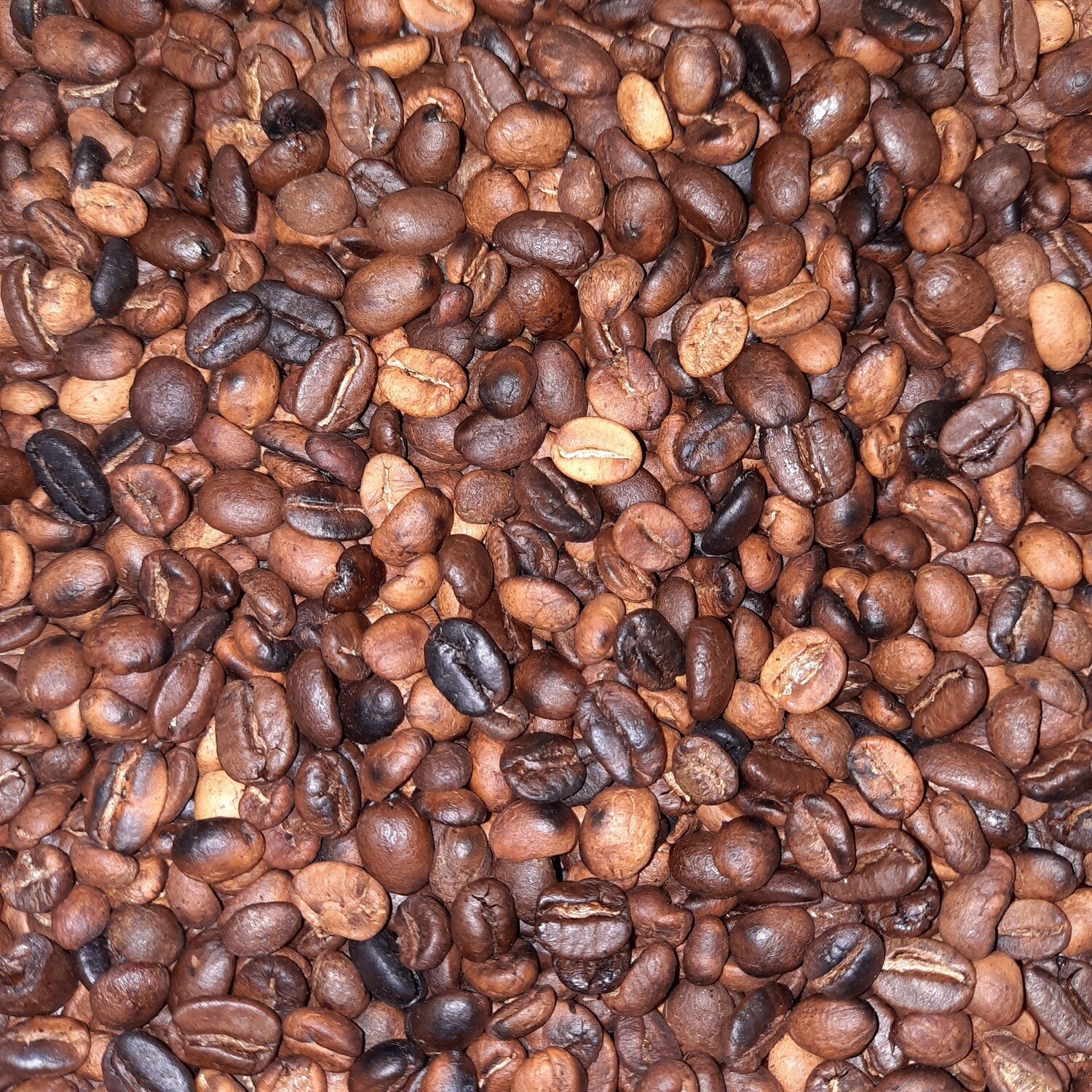 Café en grano Panamá Tueste Campero 500gr