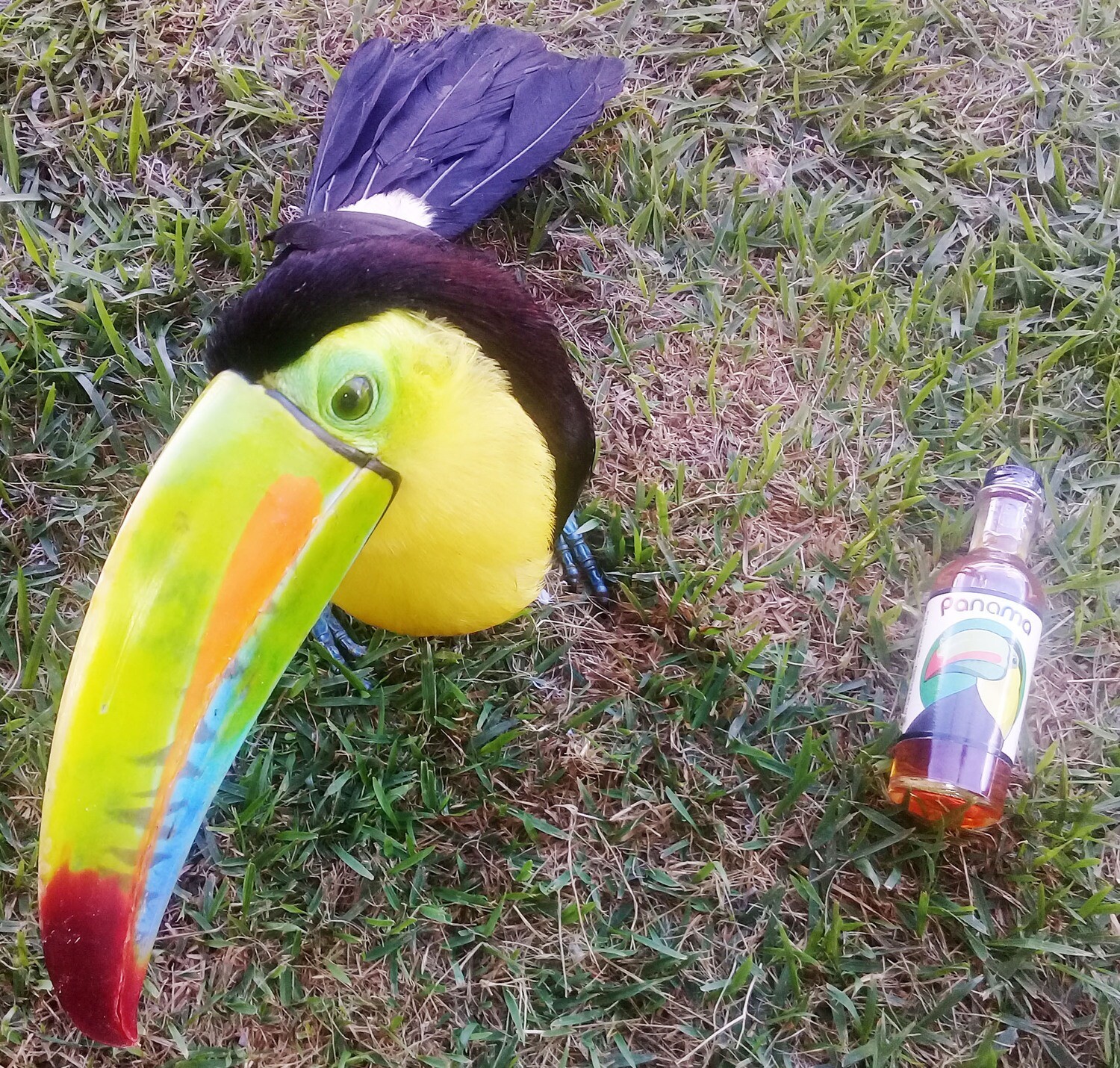 Ron Tucán mini