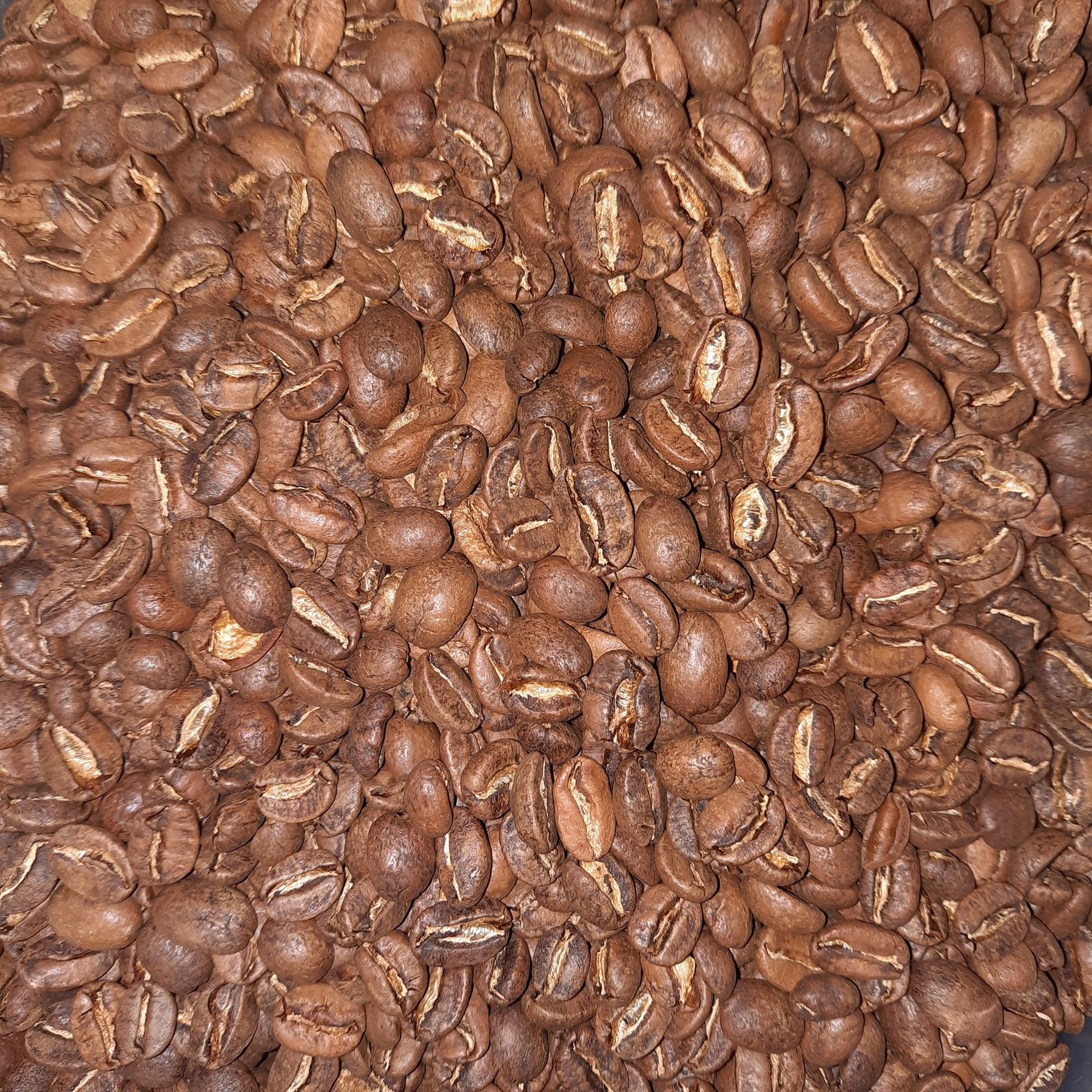 Café en grano Panamá Typica Lavado