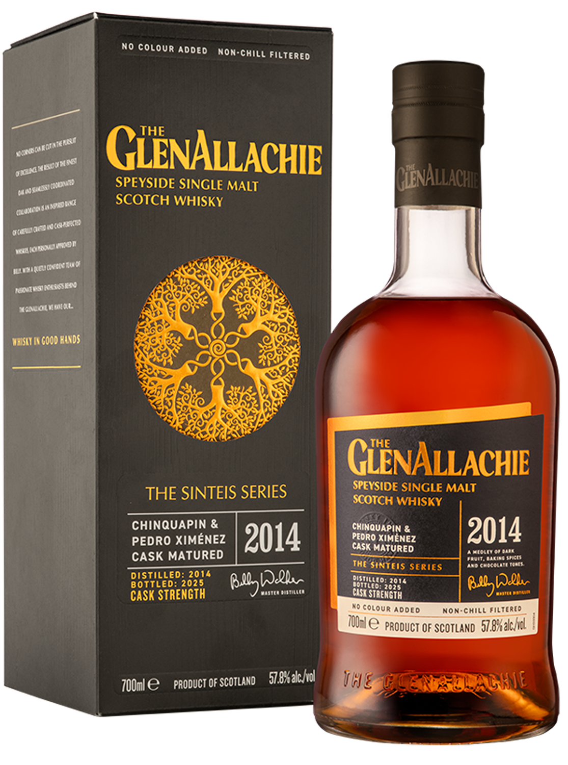Glenallachie Sinteis - 11 y.o. - Chinquapin & PX