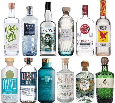 Selección de 12 Gins Euro