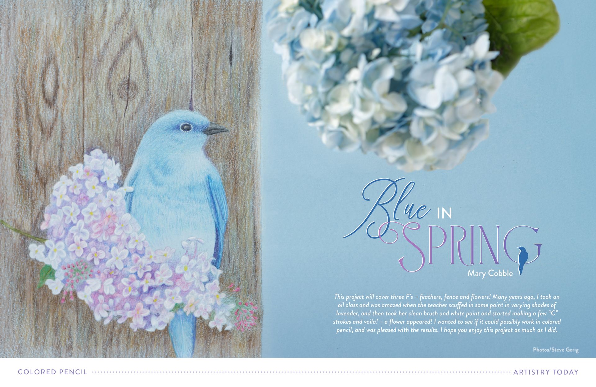 Spring 2025 - Single Digital Issue