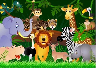 Safari
