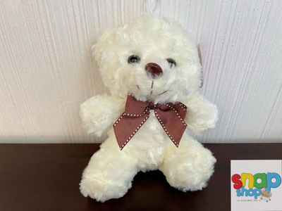 Oso de peluche 🧸