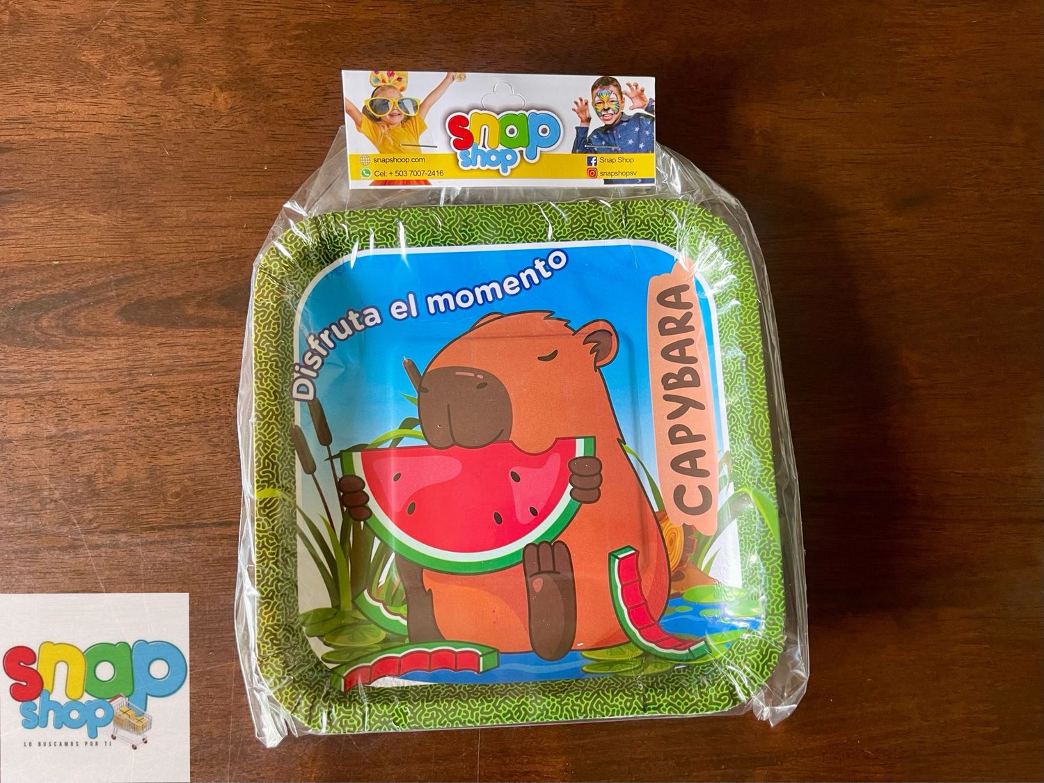 Paquete 10 platos CapiBara