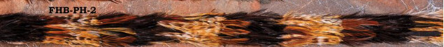 FHB-PH-2