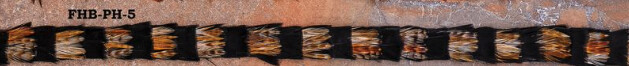 FHB-PH-5