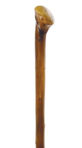 Appalachian Chestnut Walking Stick