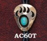 Bolo AC60T