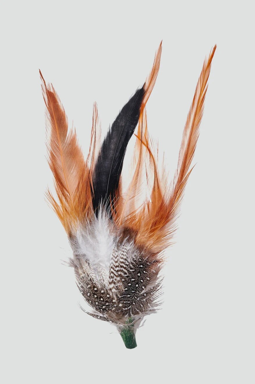 Brixton Hat Feather, Colour: Burnt Orange/Black/Mahogany