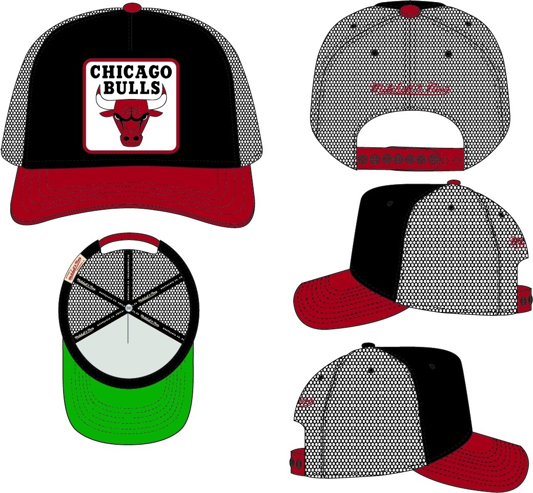 NBA TRUCK IT TRUCKER BULLS