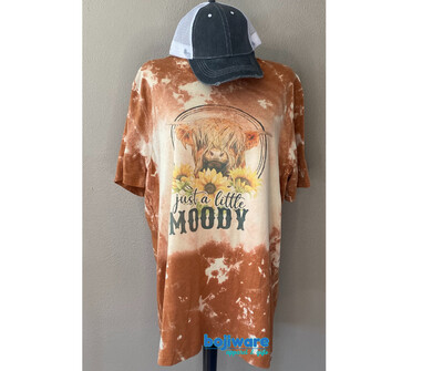 Just a Little Moody- T-Shirt