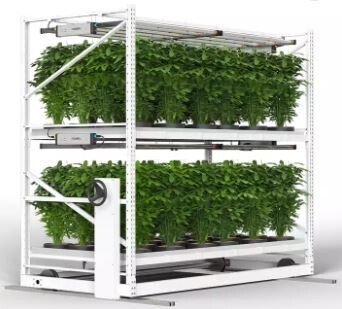 Multi-Tiered Hydroponic Vertical Propagation Rack
