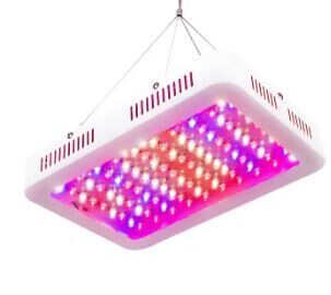 Full Spectrum 1000W LED Grow Light For Indoor Cultivation